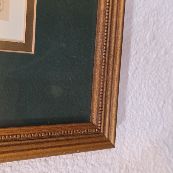 Robert Furbe's Twelve Months Of Flowers Framed Floral Art Print with Gold Frame - Picture 5 of 11